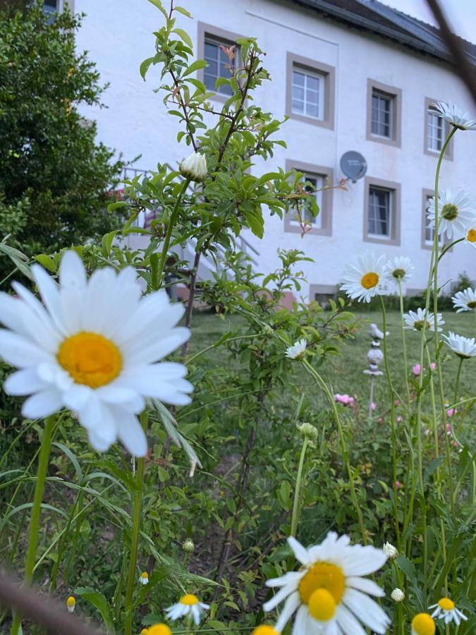 Apartment An Der Walnuss